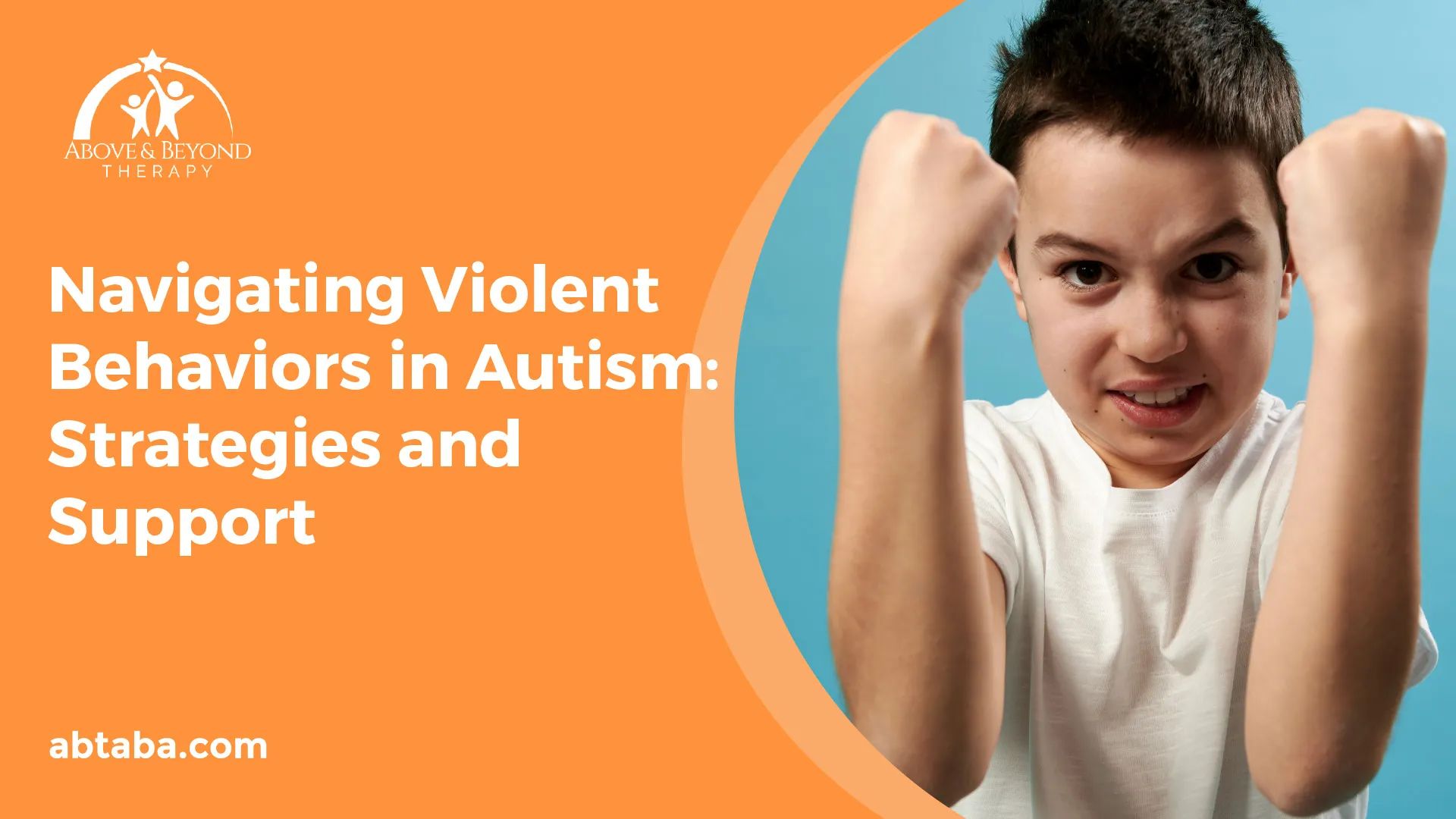 Autism violence and gang violence in schools