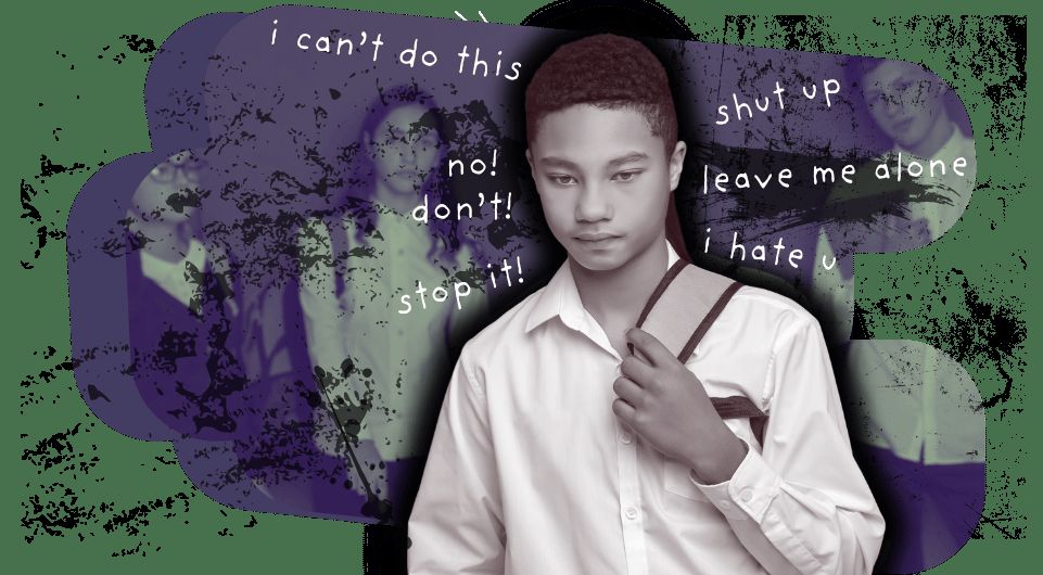 Another word for bullying, causes and consequences, racist bullying